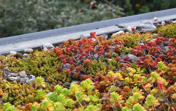the cost of Longdales green roof installation
