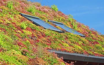 Longdales living roof systems