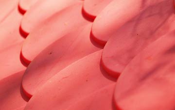 Longdales plastic roof costs